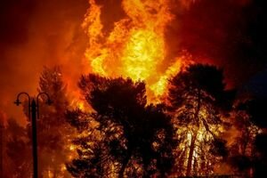 Жертвами лесных пожаров в Греции стали более 80 человек