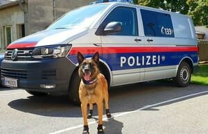 В Вене полицейские собаки получили специальную обувь, защищающую от ожогов 