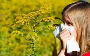 Жителей нескольких областей Украины предупредили о серьезной вспышке аллергии