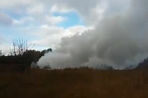 Появились первые фото и видео сгоревшего дотла истребителя МиГ-29 в Подмосковье