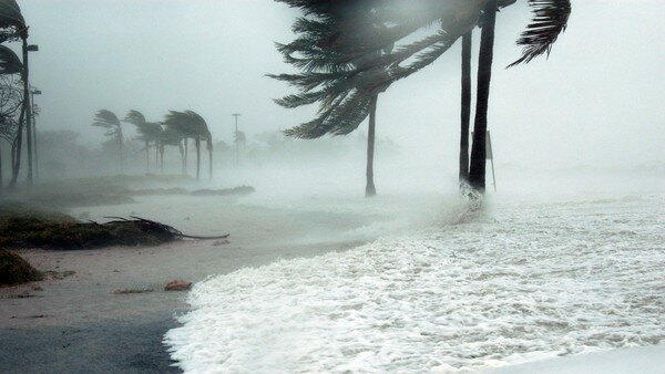 С побережья Мексики эвакуировали тысячи людей из-за шторма "Уилла"