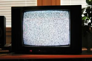 Макеенко: У Рады нет правовых оснований, чтобы лишить телеканалы лицензий