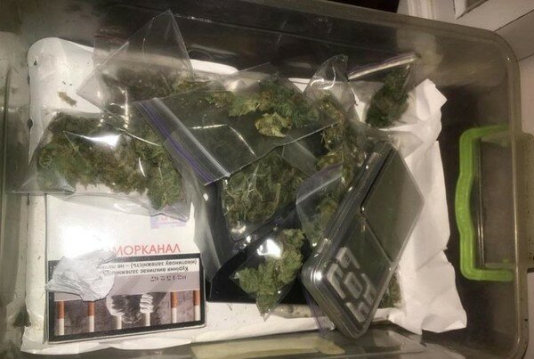 Полиция обнаружила теплицы с марихуаной и нарколаборатории в Киеве и Киевской области. Фото