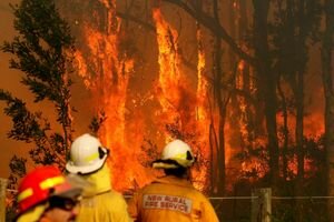 Австралию охватили сильнейшие пожары и засыпало снегом (фото, видео)