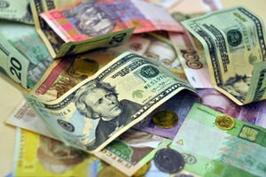 Зарплаты в долларах, страхование в евро и запрет на рубли: что меняет закон о валюте