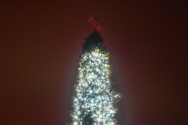 В центре Киева наряжают новогоднюю елку под покровом ночи (фото, видео)