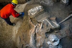 В Помпеях нашли останки запряженной лошади, готовой к поездке