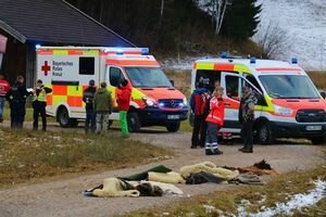 В Баварии столкнулись две конные повозки, пострадали 20 человек. Фото
