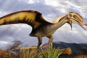 В Британии нашли новый вид динозавра, жившего 167 млн лет назад