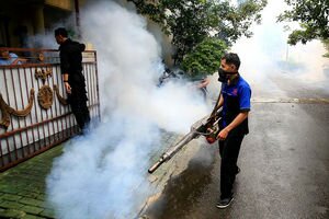 В Индонезии сотня людей скончалась от лихорадки денге