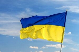В Житомирской области мужчина публично осквернил флаг Украины: полиция начала расследование