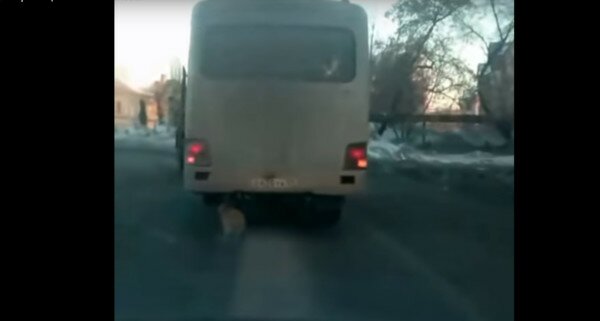 В России автобус ехал по дороге на трех колесах и бревном вместо четвертого. Видео