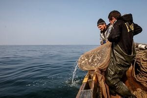 Украина и РФ согласовали правила вылова рыбы в Азовском море