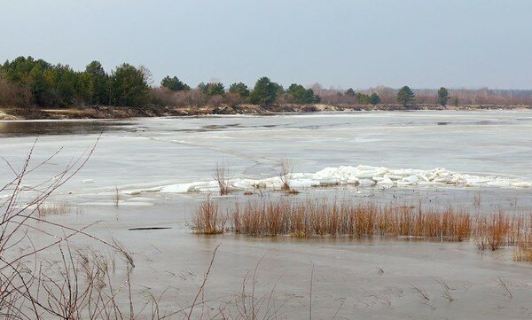 На реке Припять заметили необычное природное явление. Фото 