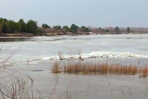 На реке Припять заметили необычное природное явление. Фото 