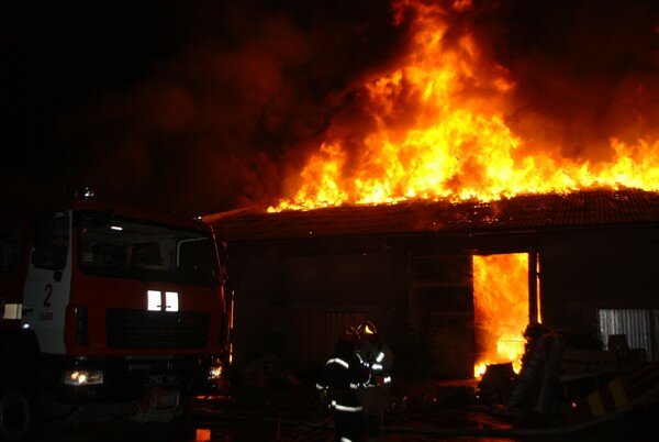 Мощный пожар во Львовской области уничтожил 500 тонн семян рапса