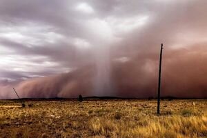 Австралию накрыла сильнейшая песчаная буря: зрелищное видео