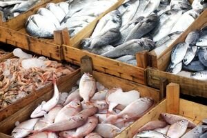 Пограничники задержали рыбаков, которые незаконно выловили 3,5 тонны рыбы в Азовском море (видео)