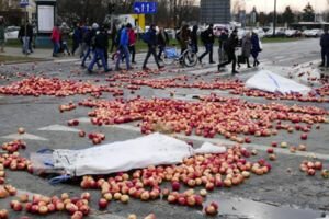 Туша свиньи и сожженные покрышки: в Варшаве фермеры вышли на массовый протест