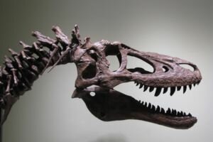 В США скелет тираннозавра продают на ebay за 3 000 000 долларов